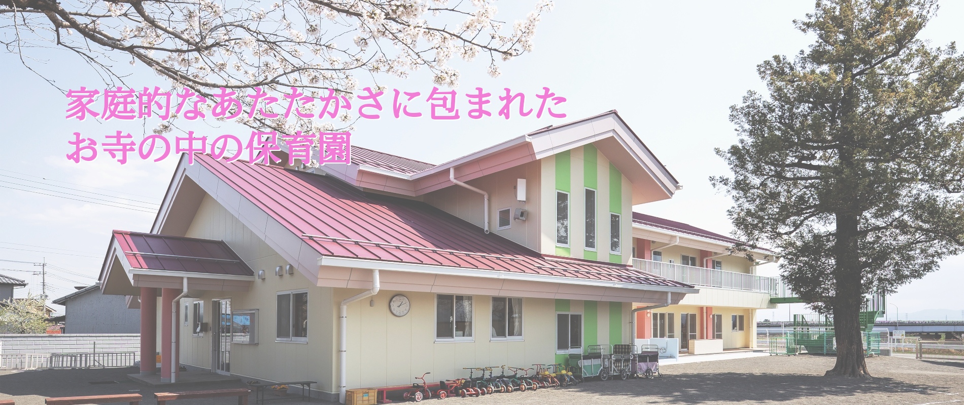 園舎外観